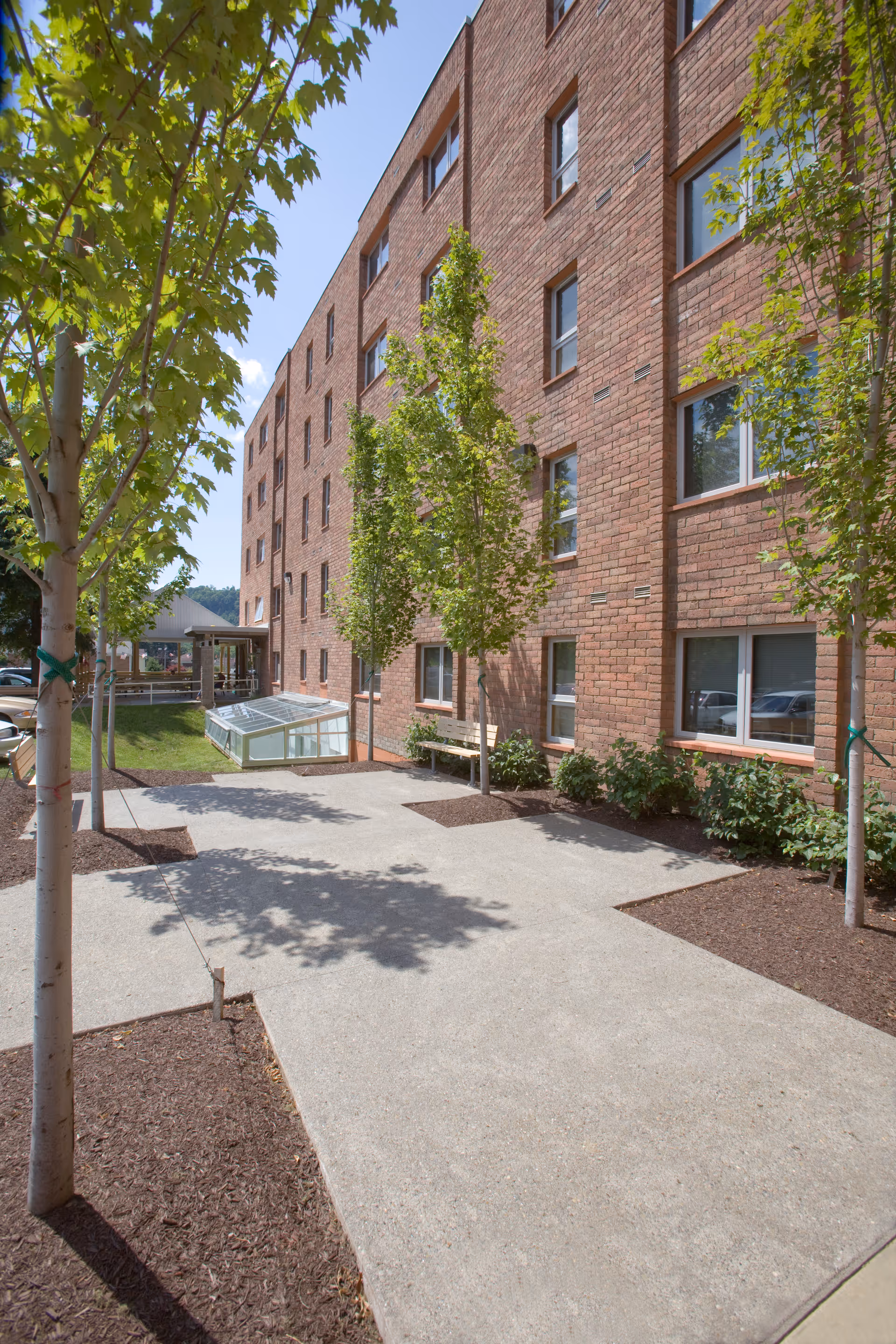 Outdoor walkway alongside a multi-story brick building with several windows. Young trees are planted in mulched beds along the concrete path, and there is a bench near the building. The sky is clear and blue.