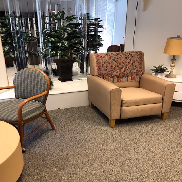 Small lounge area with a beige armchair draped with a patterned throw, a side table and lamp, an upholstered chair, and decorative plants in front of mirrored panels.