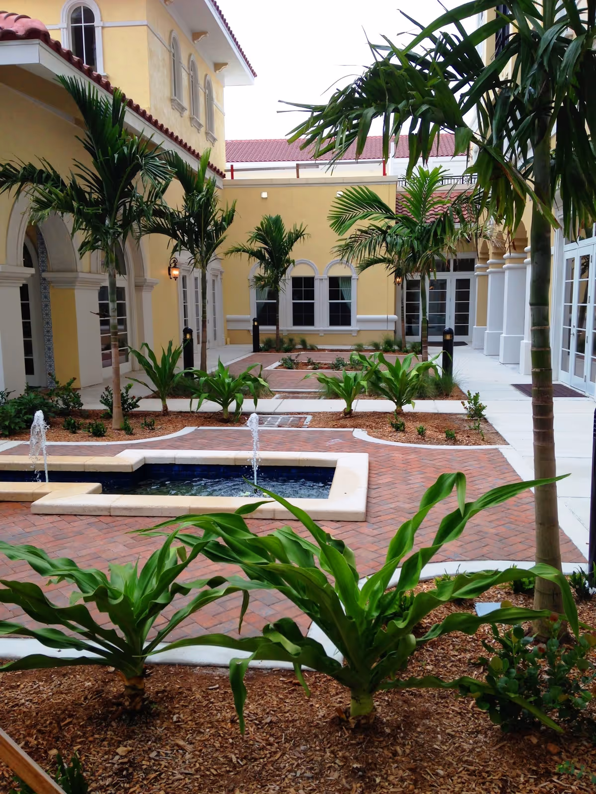 Sunlit courtyard with a central rectangular fountain, palm trees, planted beds, and yellow Mediterranean-style building facades.