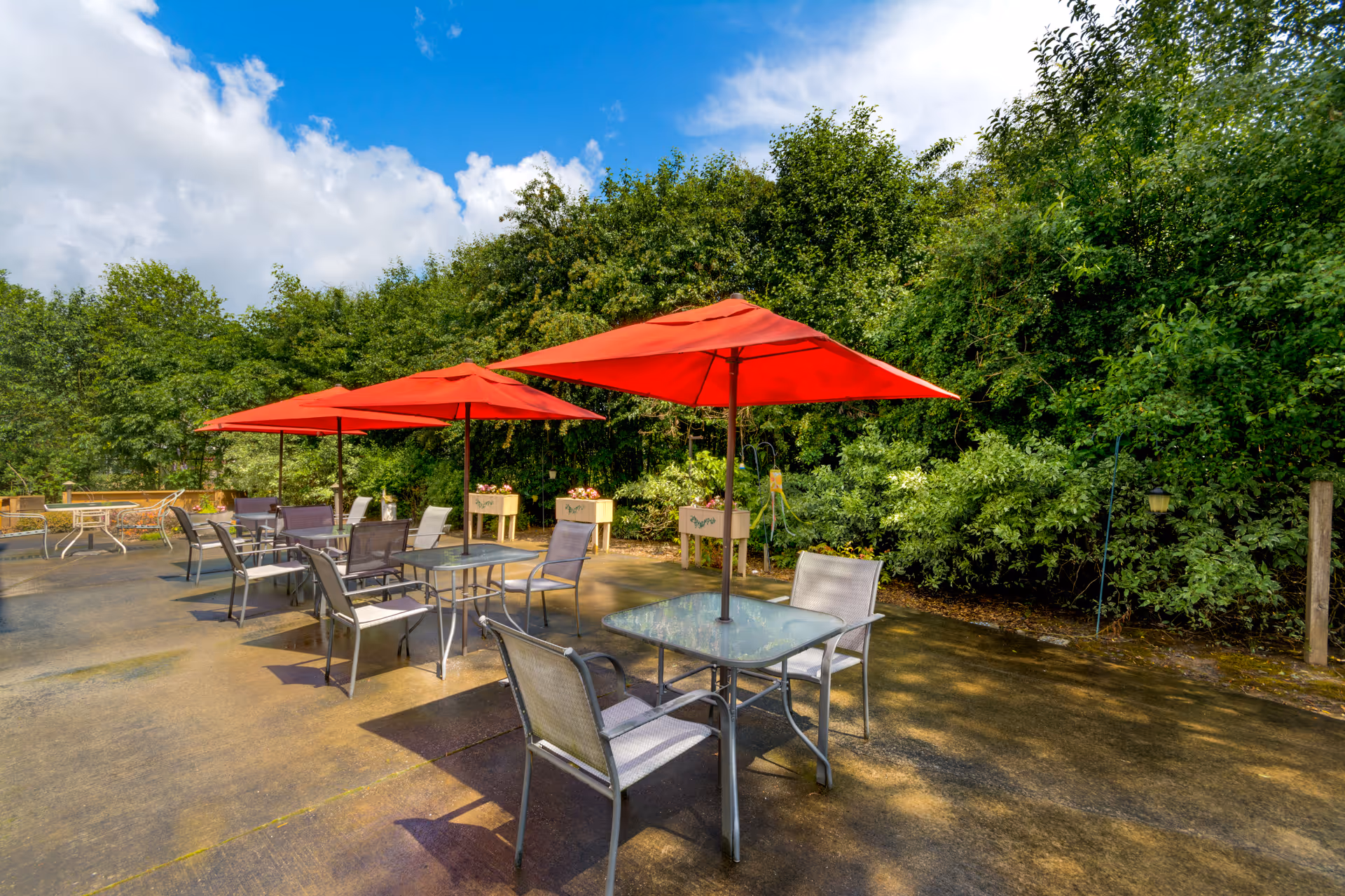 Outdoor patio area with multiple glass-top tables and chairs, each table shaded by a red umbrella. The patio is surrounded by lush green trees and bushes under a partly cloudy blue sky.