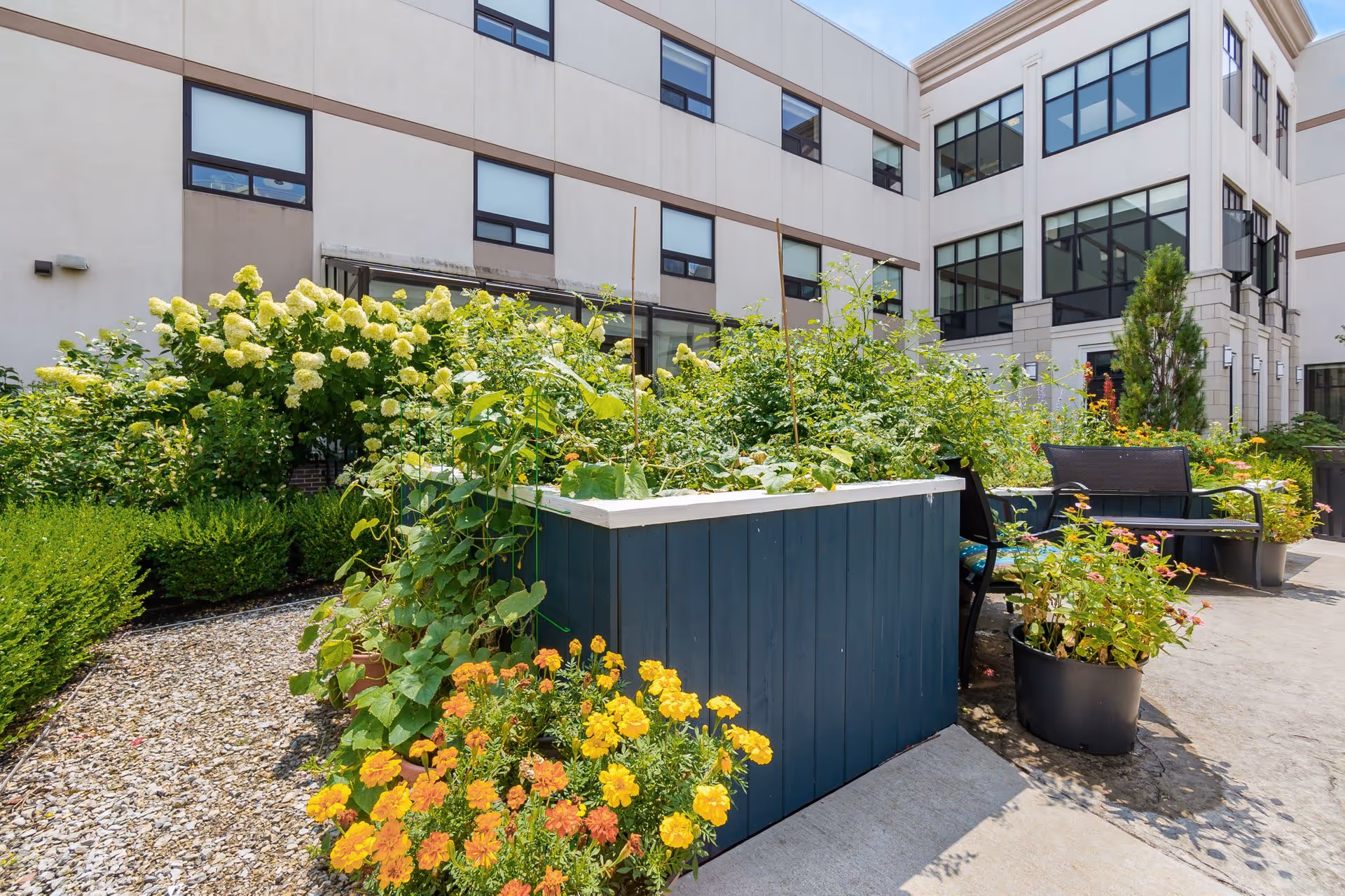 A sunny courtyard with raised blue planter boxes filled with flowers and greenery, outdoor seating, and the multi-story building facade in the background.