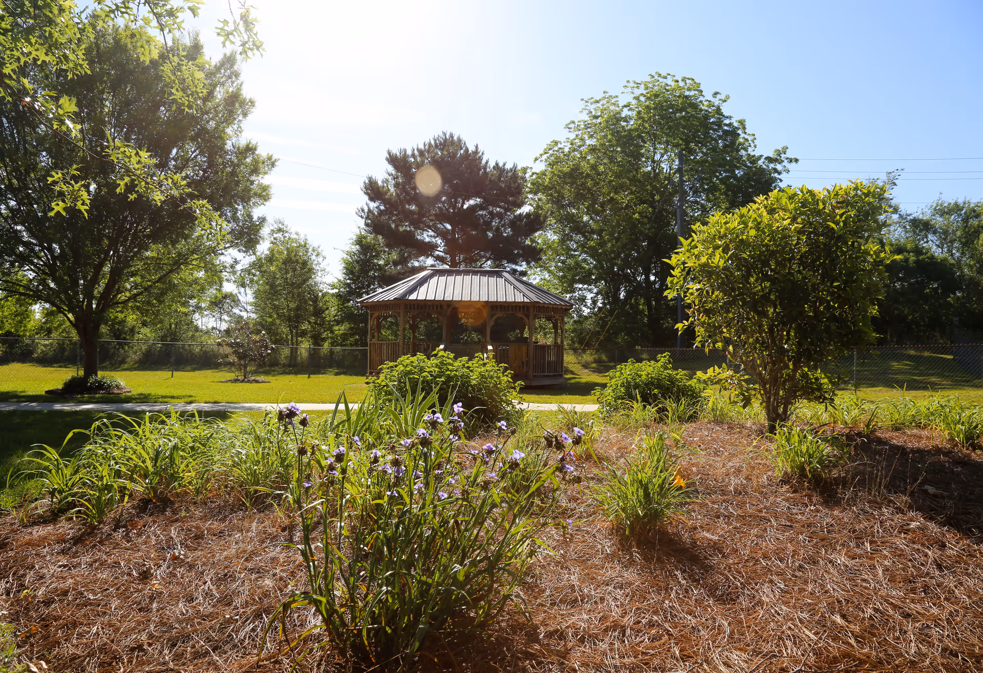 A sunny outdoor garden area with various green plants and purple flowers in the foreground, a wooden gazebo in the middle distance, and tall trees in the background under a clear blue sky.