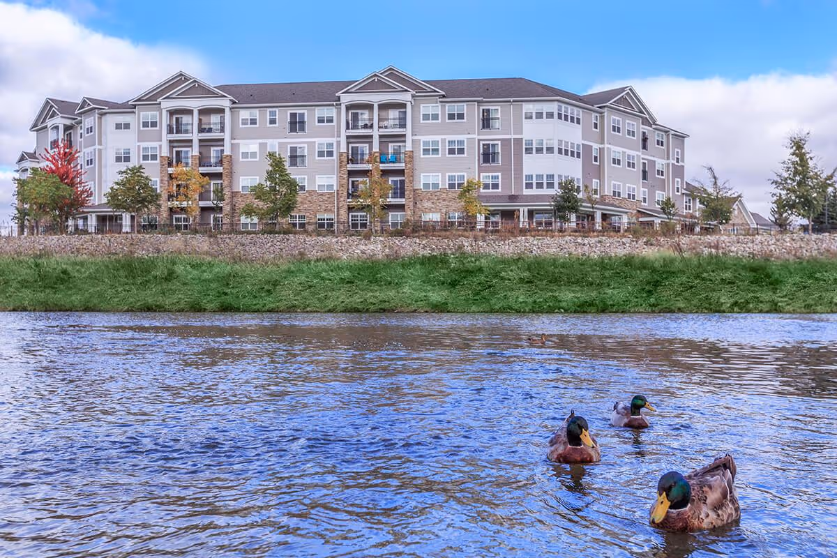 A four-story senior living building on the opposite bank of a river with grass and ducks swimming in the foreground.