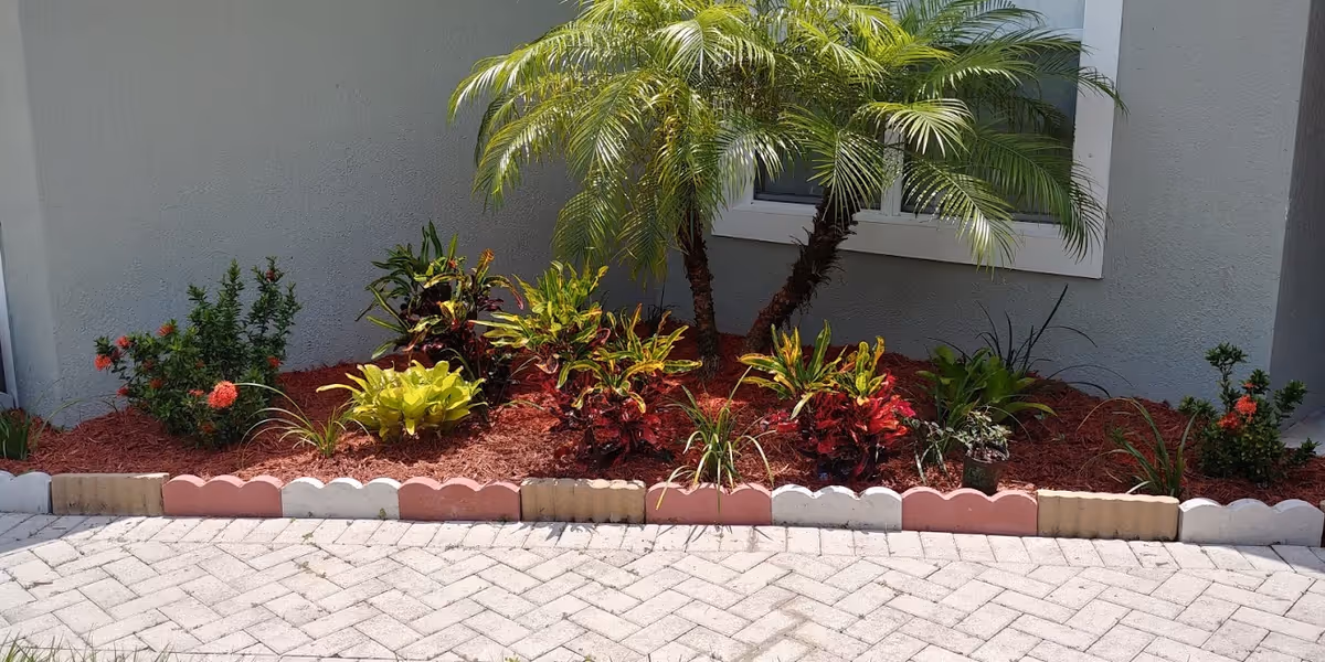 Small landscaped flower bed with palm trees and colorful plants bordered by scalloped edging in front of a gray building wall and window.
