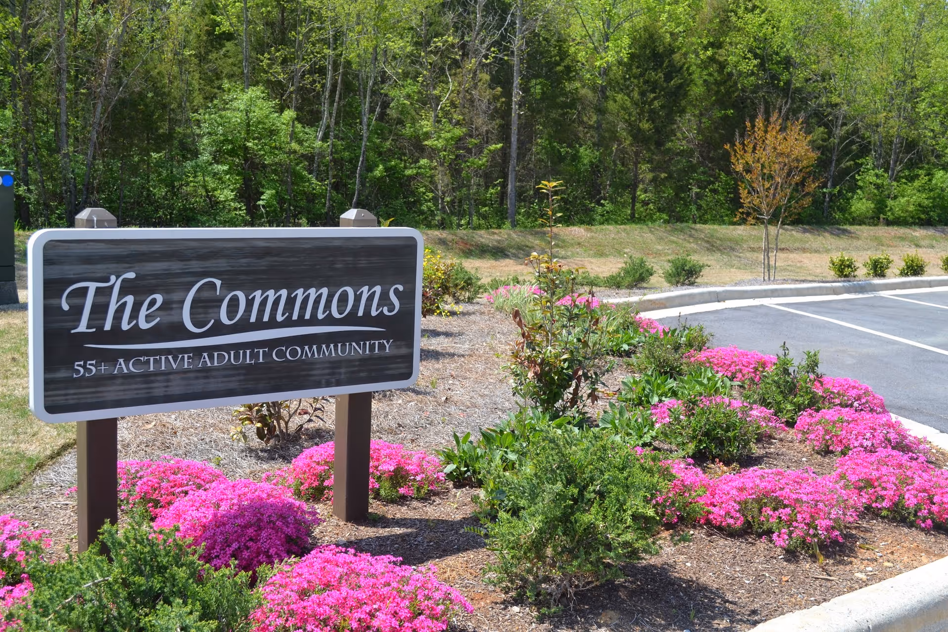 A wooden sign reading 'The Commons 55+ Active Adult Community' is placed in a landscaped area with bright pink flowers and green shrubs. Behind the sign is a parking lot and a backdrop of tall green trees.