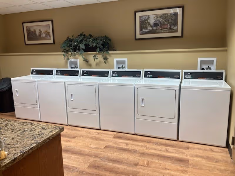 A laundry room with six white commercial washing machines and dryers lined up against a beige wall. Above the machines are two framed pictures and a green leafy plant on a shelf. The floor is wooden, and a granite countertop is partially visible in the foreground.