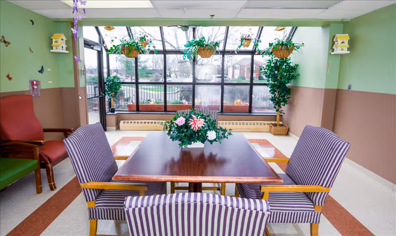A bright indoor sitting area with a wooden table surrounded by four striped purple and white chairs. The room has large windows with hanging plants and potted greenery, letting in natural light. The walls are painted green and brown, and there are additional chairs in the background.