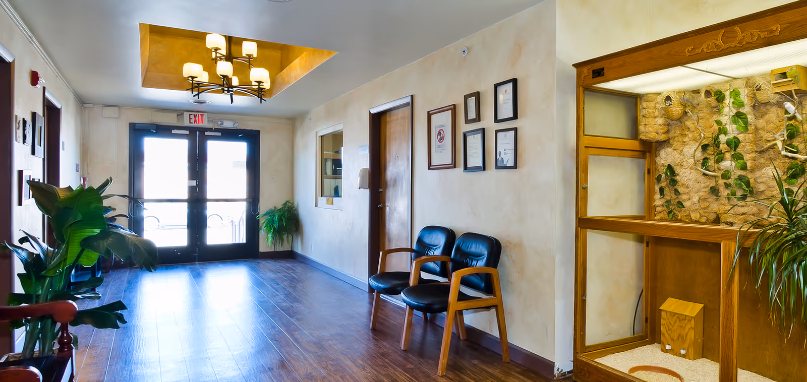 A well-lit hallway in a senior living facility with wooden flooring, two black chairs with wooden arms against a cream-colored wall, framed certificates or artwork on the wall, a decorative wooden enclosure with plants and vines on the right, and double glass exit doors at the end of the hallway. There are also green plants placed near the doors and along the hallway.