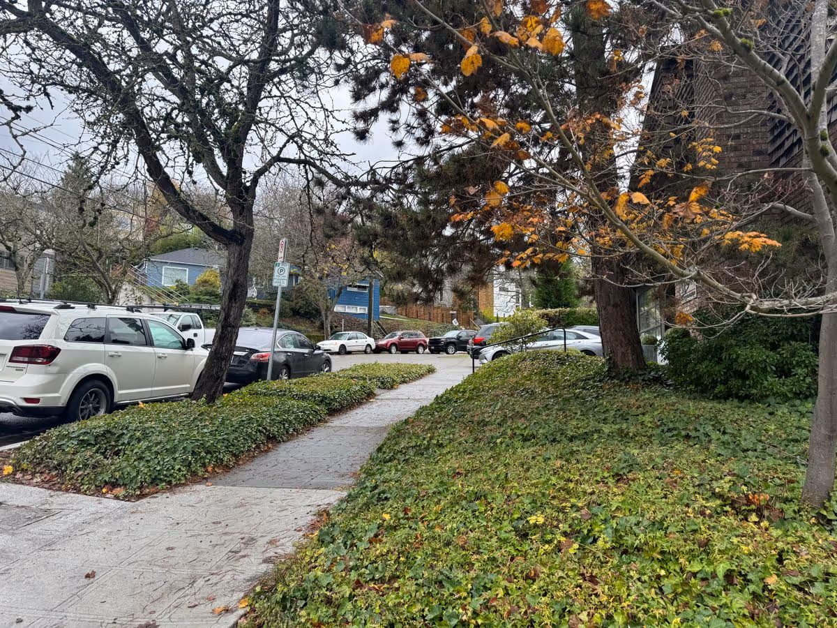 Sidewalk bordered by ivy-covered slopes, trees and parked cars beside a brick building on an overcast day.