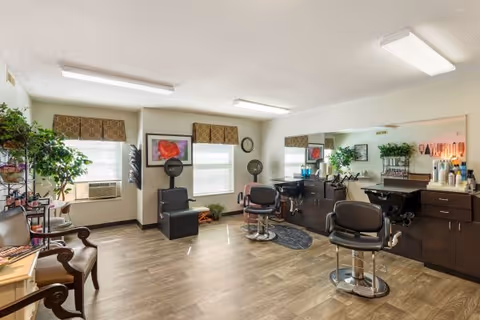 Interior of a hair salon with three styling chairs, a large mirror, hair washing sinks, and various hair care products on the counter. The room has wooden flooring, two windows with valances, and some plants and framed artwork on the walls.