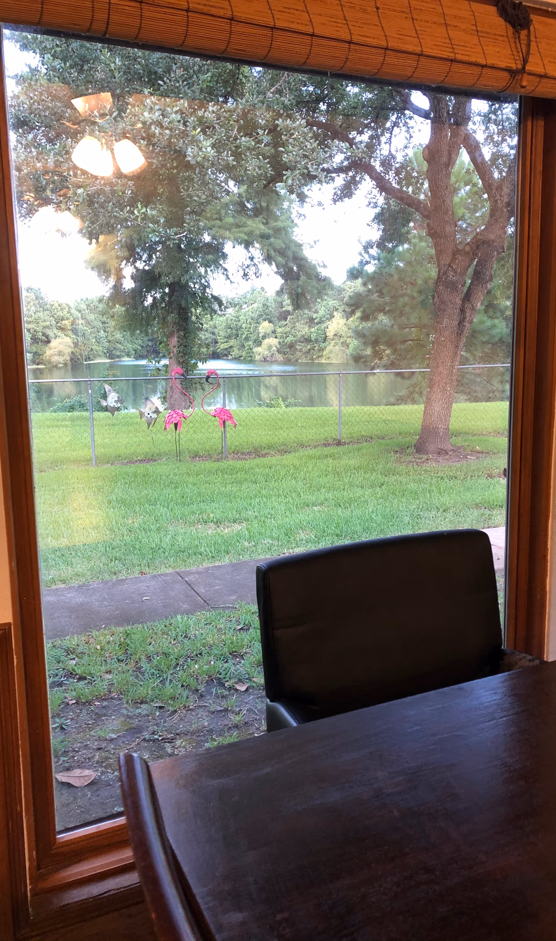 View through a large window showing a green lawn with two pink flamingo lawn ornaments, a tree, and a body of water surrounded by trees in the background. Inside, part of a dark wooden table and a black chair are visible. A ceiling fan reflection is seen on the window glass.