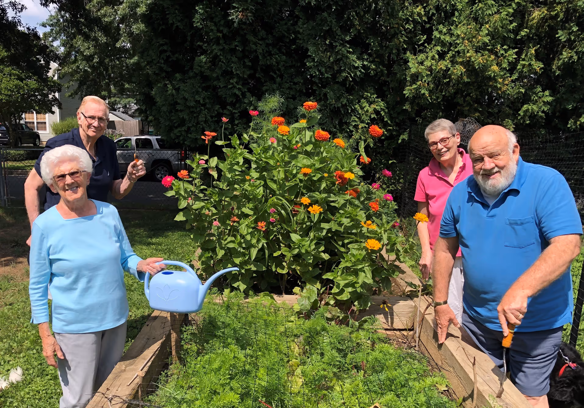 Four elderly people gardening outdoors around a raised garden bed filled with green plants and colorful flowers. One woman in a light blue shirt is holding a blue watering can, a man in a blue shirt is holding a gardening tool, and two other people are standing nearby smiling. There are trees and a fence in the background.