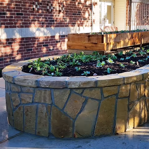 Raised stone garden bed with young green plants growing in soil, situated outdoors next to a brick wall and a wooden planter box in the background.