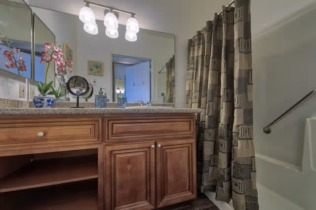 Bathroom with a wooden vanity featuring a granite countertop, a large mirror, three light fixtures above, a small round mirror, and a potted orchid plant. To the right, there is a bathtub with a patterned shower curtain and a metal grab bar on the wall.