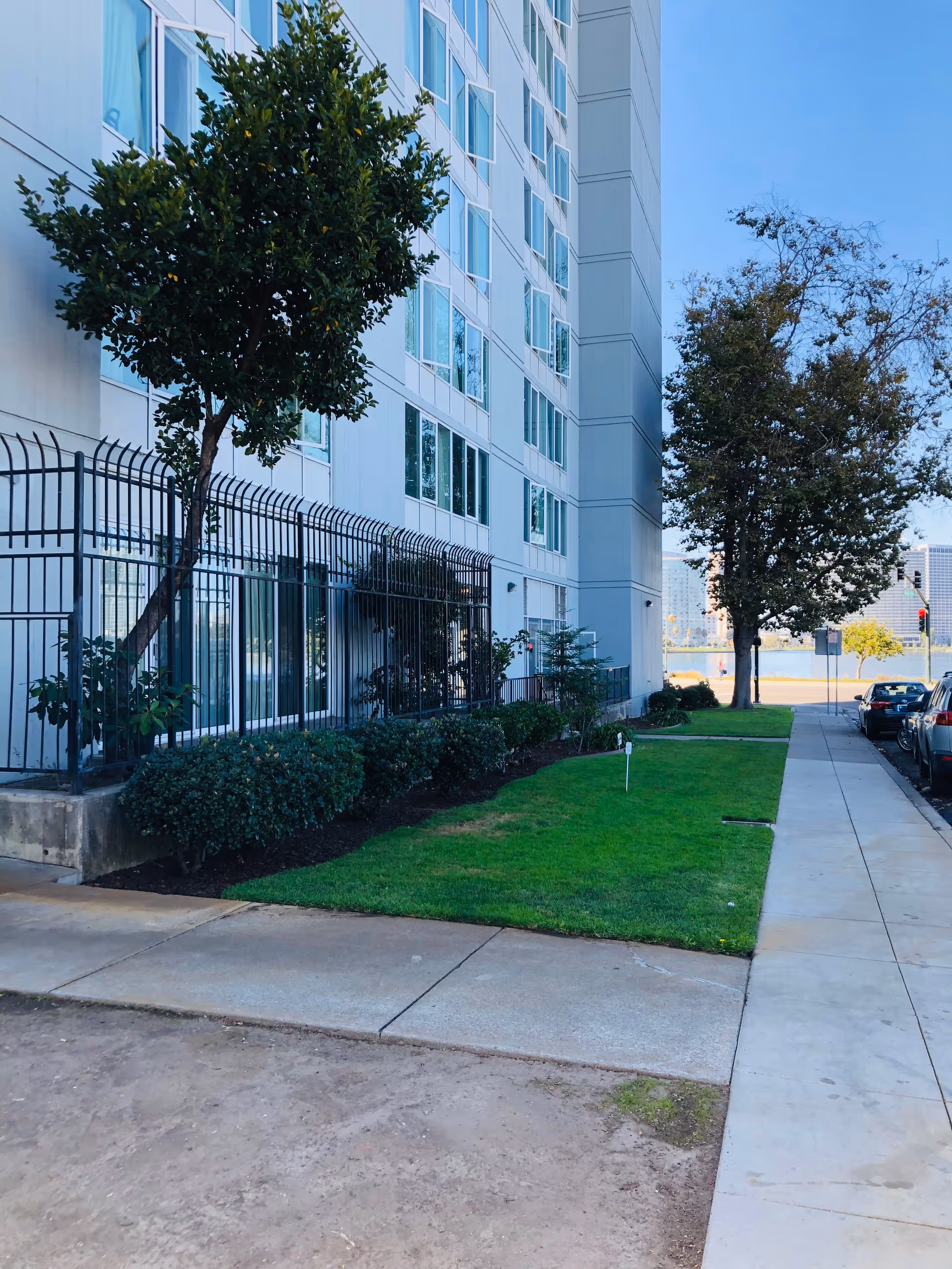Side view of a multi-story building with large windows, a black metal fence, green bushes, and two trees along a sidewalk. Parked cars are visible on the right side of the sidewalk, and a clear blue sky is in the background.