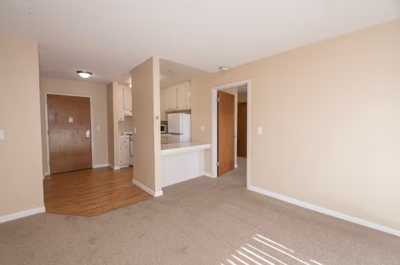 Open living area with carpeted floor, small kitchen with white cabinets and appliances, and an entry door.