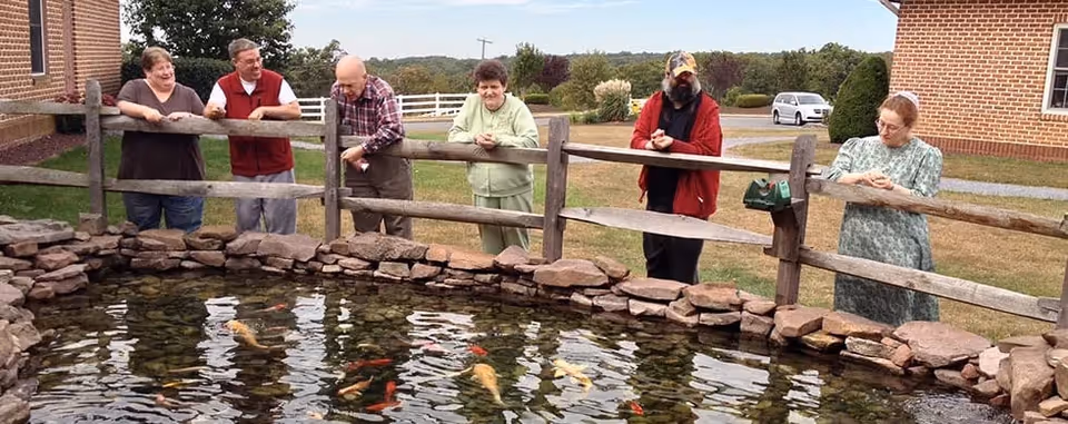 Six elderly people standing outside by a wooden fence, looking down at a pond filled with colorful koi fish. The setting is grassy with trees and a brick building visible in the background under a clear sky.