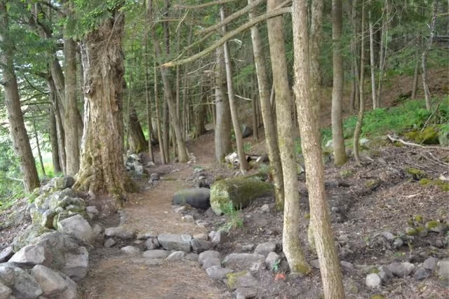 A narrow dirt path winding through a mossy, rocky forest with tall trees on both sides.