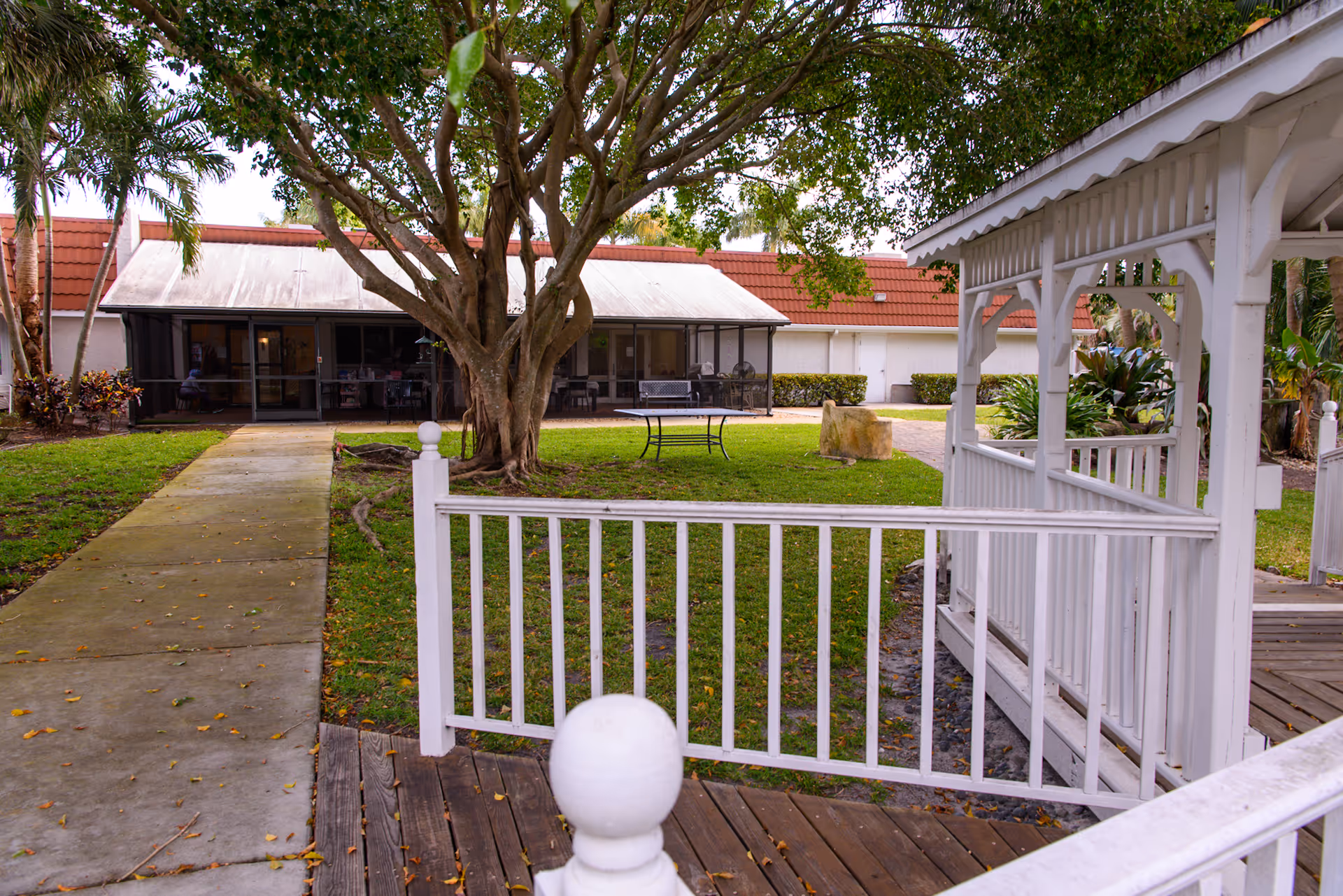 Outdoor view of a senior living facility courtyard with a large tree in the center, a concrete walkway, green grass, a white wooden gazebo with railings, and a building with a red-tiled roof and screened porch in the background.