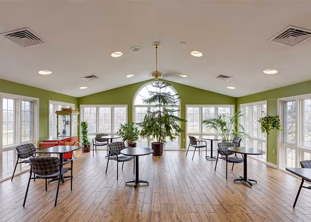 A bright and spacious room with large windows on three sides allowing natural light to fill the space. The walls are painted green and the floor has wood-like tiles. Several small round tables with patterned chairs are arranged throughout the room. Various potted plants, including a tall tree in the center, add greenery to the space.