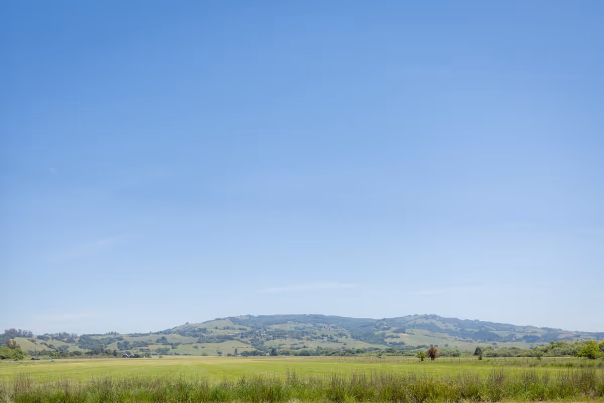 A wide open green field with grass and some bushes in the foreground, rolling hills in the distance under a clear blue sky.