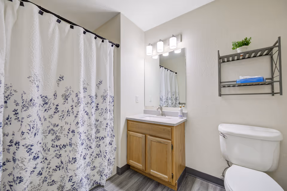A clean bathroom featuring a white toilet, a wooden vanity with a sink and faucet, a large mirror with four light fixtures above it, a shower with a white curtain decorated with a blue floral pattern, and a wall-mounted metal shelf holding a small potted plant and a box of tissues.