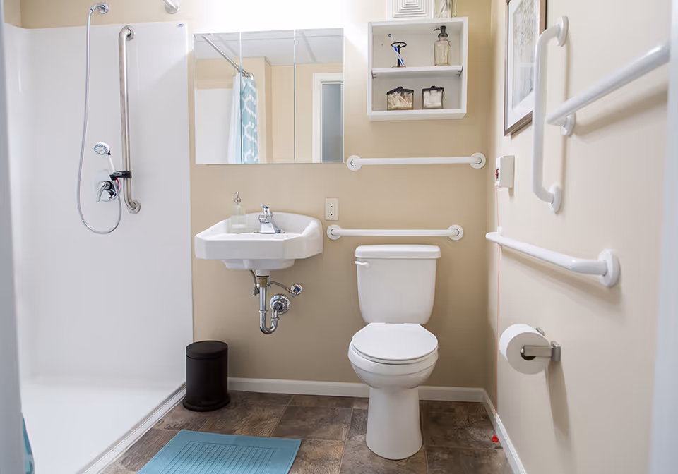 A clean, accessible bathroom with a white toilet, a wall-mounted sink with a soap dispenser, a walk-in shower with a handheld showerhead, multiple white grab bars on the walls, a small black trash can, a blue bath mat on the floor, and a white wall cabinet with toiletries.