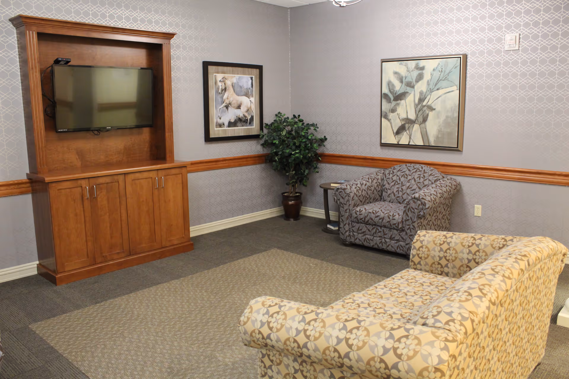 A cozy living room area with a patterned beige sofa and a gray patterned armchair. There is a wooden entertainment center with a flat-screen TV mounted on it. The walls are decorated with two framed pictures and a potted plant is placed in the corner. The room has a carpeted floor and a wooden chair rail molding along the walls.