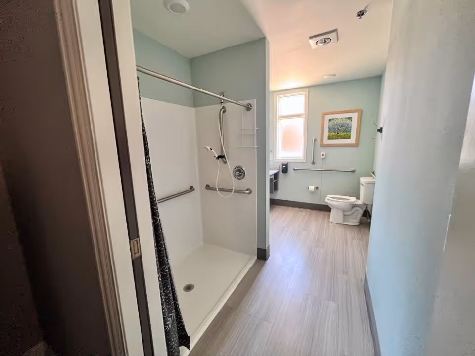 A spacious bathroom with light blue walls and wood-like flooring. The image shows a walk-in shower with grab bars and a handheld showerhead on the left. On the right side, there is a toilet with grab bars around it, a window above the toilet, a framed picture on the wall, and a sink partially visible.