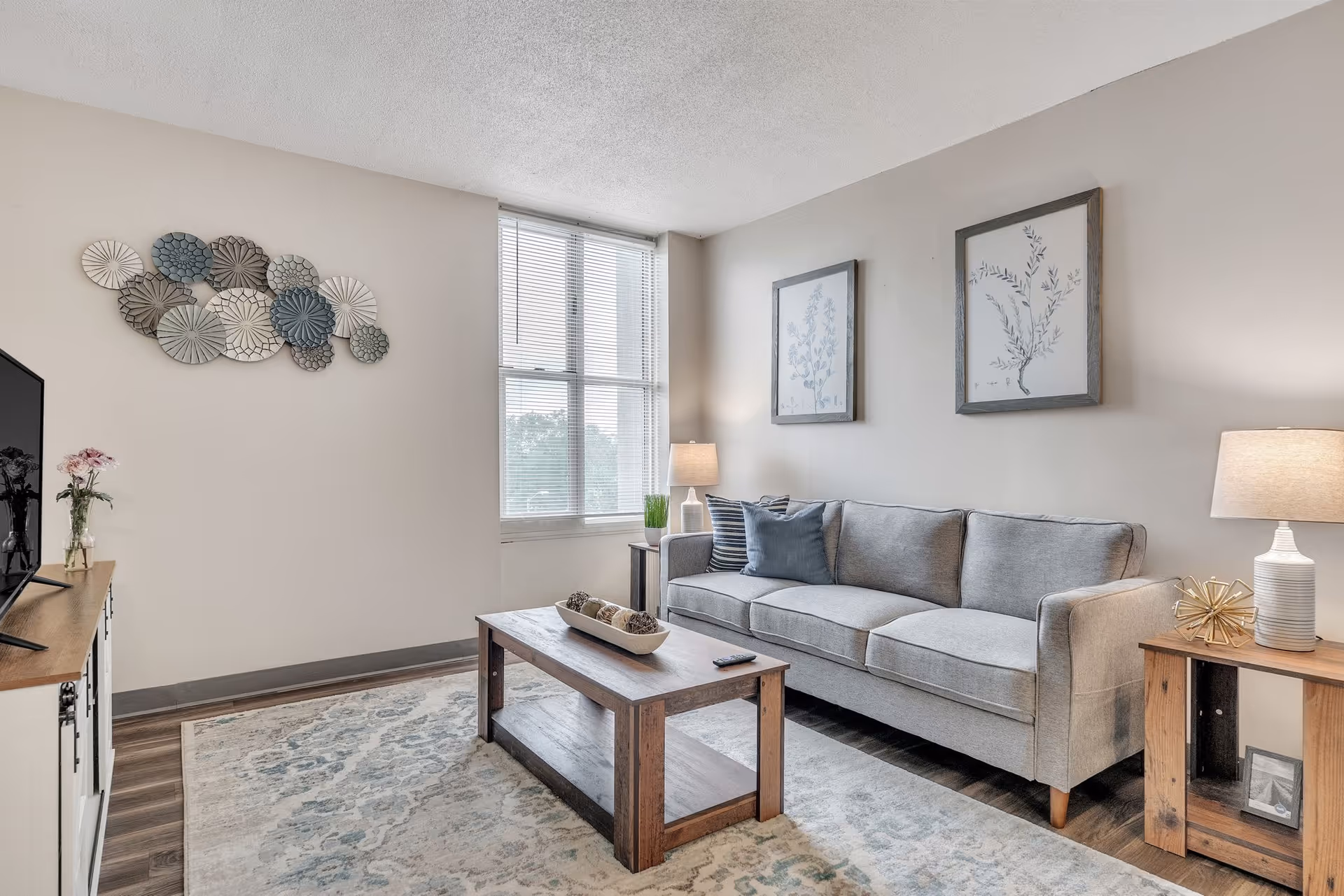 A bright living room with a large window letting in natural light. The room features a gray sofa with blue and gray pillows, two framed botanical prints on the wall above the sofa, a wooden coffee table with decorative items, a wooden side table with a lamp and decorative object, and a TV on a wooden stand. The floor has a patterned area rug and the walls are painted light beige.