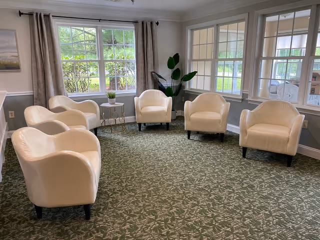 A bright room with six white armchairs arranged in a semi-circle on a green patterned carpet. The room has large windows with beige curtains and a small round table with a plant on it. There is also a tall leafy plant in the corner and light gray walls with white trim.