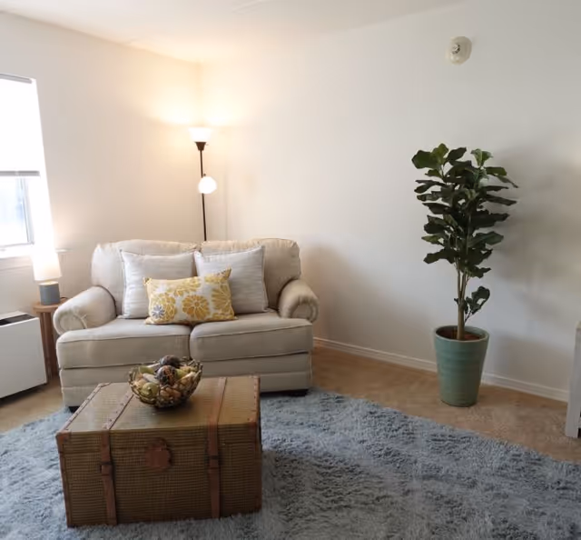 A cozy living room with a beige loveseat adorned with three cushions, a floor lamp in the corner, a small side table with a lamp, a large potted plant, and a textured blue rug covering the carpeted floor. A decorative trunk serves as a coffee table with a bowl of potpourri on top.