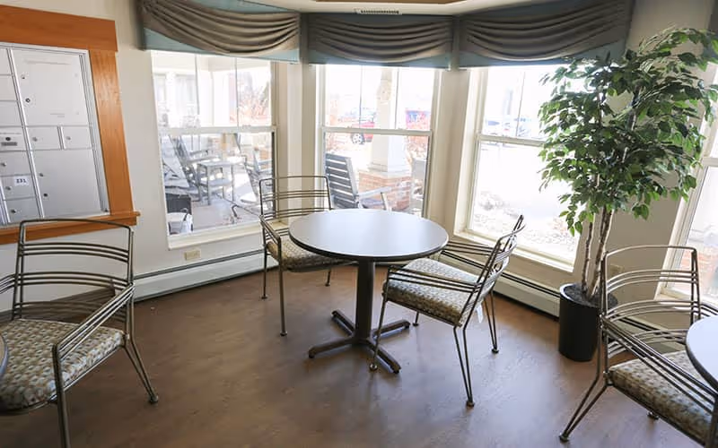 Round table and metal chairs arranged in a sunlit seating/dining area next to large windows and a potted plant.