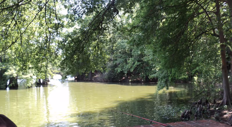 A peaceful outdoor scene showing a calm river or lake surrounded by lush green trees with branches hanging over the water, and a fishing rod extending into the water from a brick ledge.