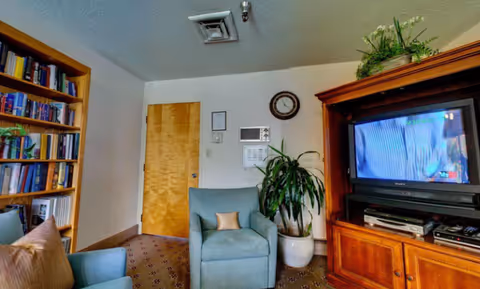 Small living room area with armchairs, a television in a wooden cabinet, a bookshelf, and a potted plant.