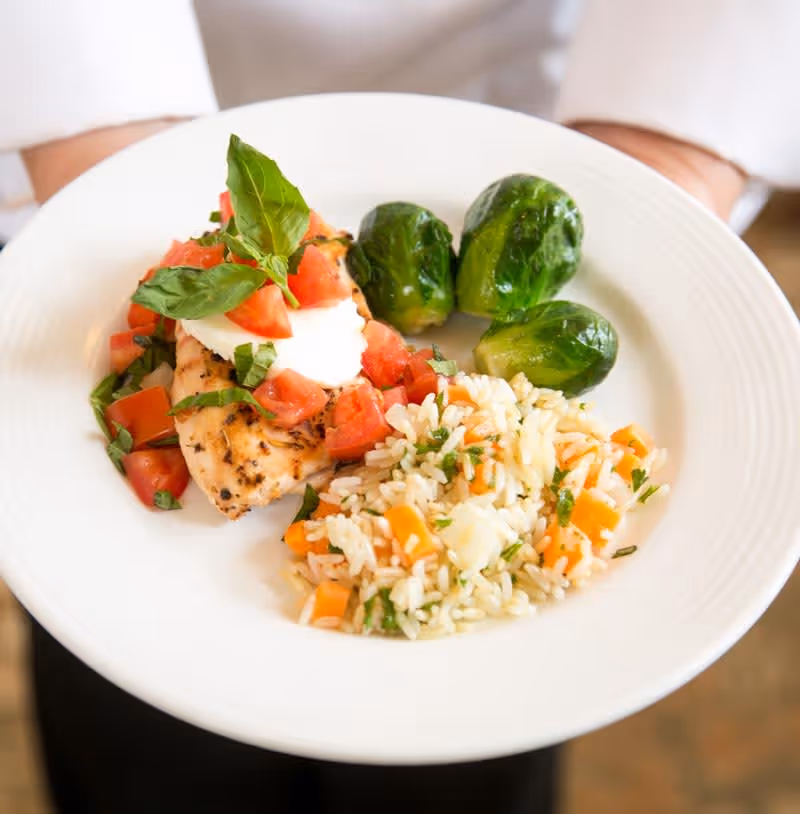 A white plate with a serving of grilled chicken topped with diced tomatoes, fresh basil, and a dollop of white sauce, accompanied by three Brussels sprouts and a portion of rice mixed with diced carrots and herbs, held by a person wearing a white shirt.
