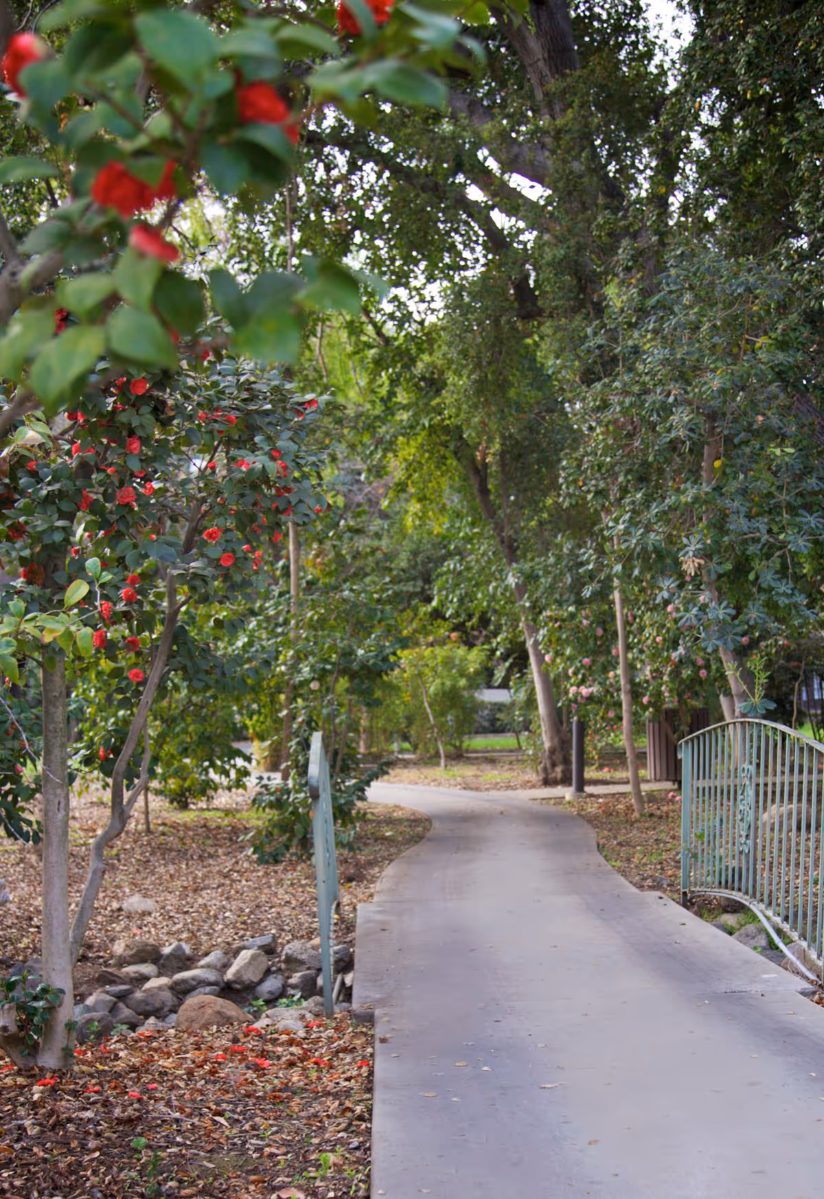 Photo 36 of Oaks of Pasadena