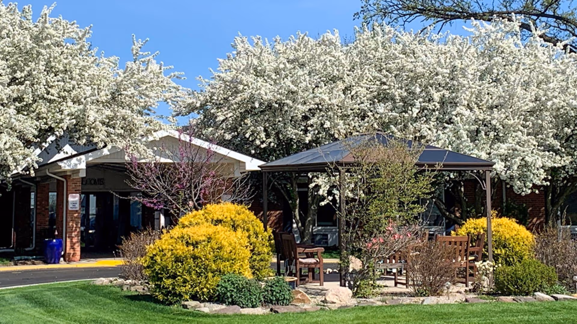 Outdoor garden area with blooming white and pink trees, yellow bushes, green grass, and a gazebo with wooden chairs underneath. A brick building entrance is visible in the background.