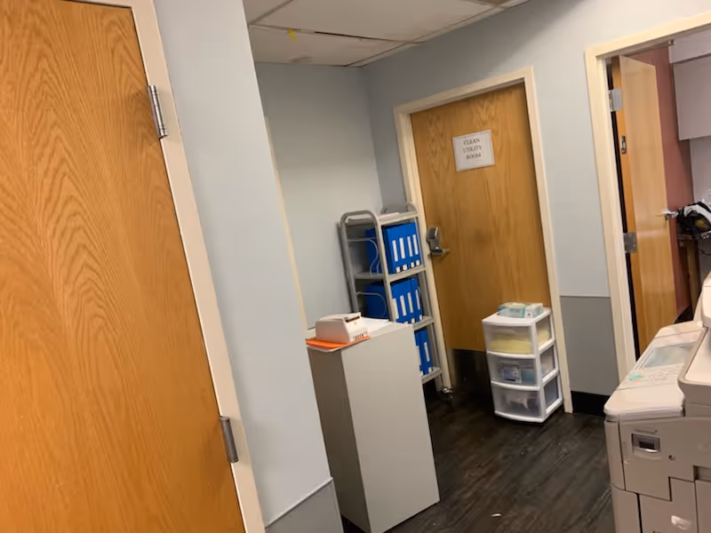 Interior hallway area with light blue walls and dark wood flooring. There are two wooden doors, one labeled 'CLEAN UTILITY ROOM.' A small white cabinet with a device on top and a blue file organizer on a metal cart are against the wall. A plastic drawer unit with supplies is next to the door. Part of a large printer or copier is visible on the right side.