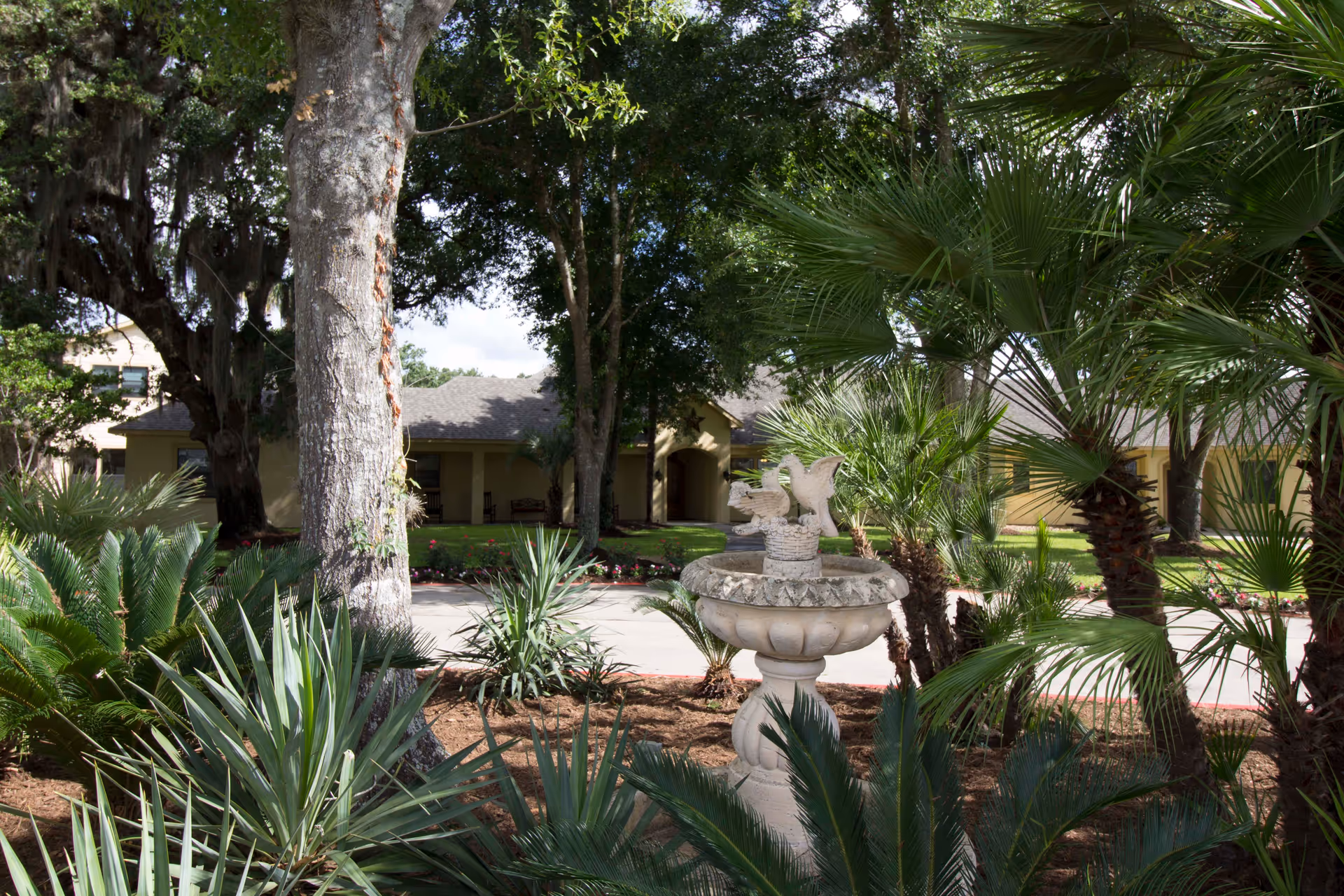 Landscaped front yard of a senior living building with a decorative bird fountain surrounded by palm trees and shrubs.