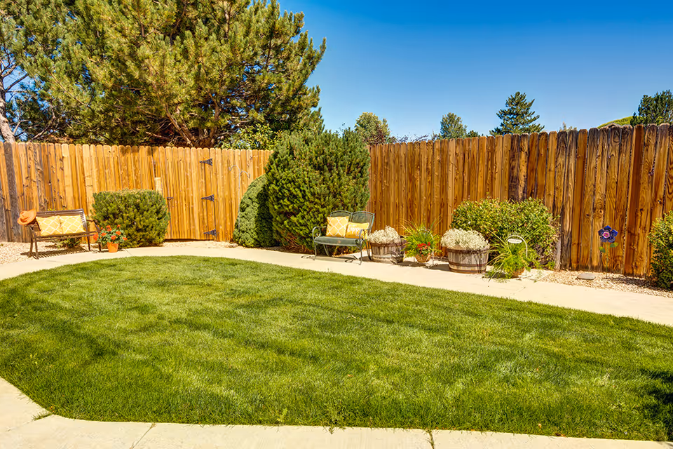 A sunny outdoor garden area with a well-maintained green lawn, a wooden fence surrounding the space, two benches with yellow cushions, various potted plants, and trees in the background under a clear blue sky.