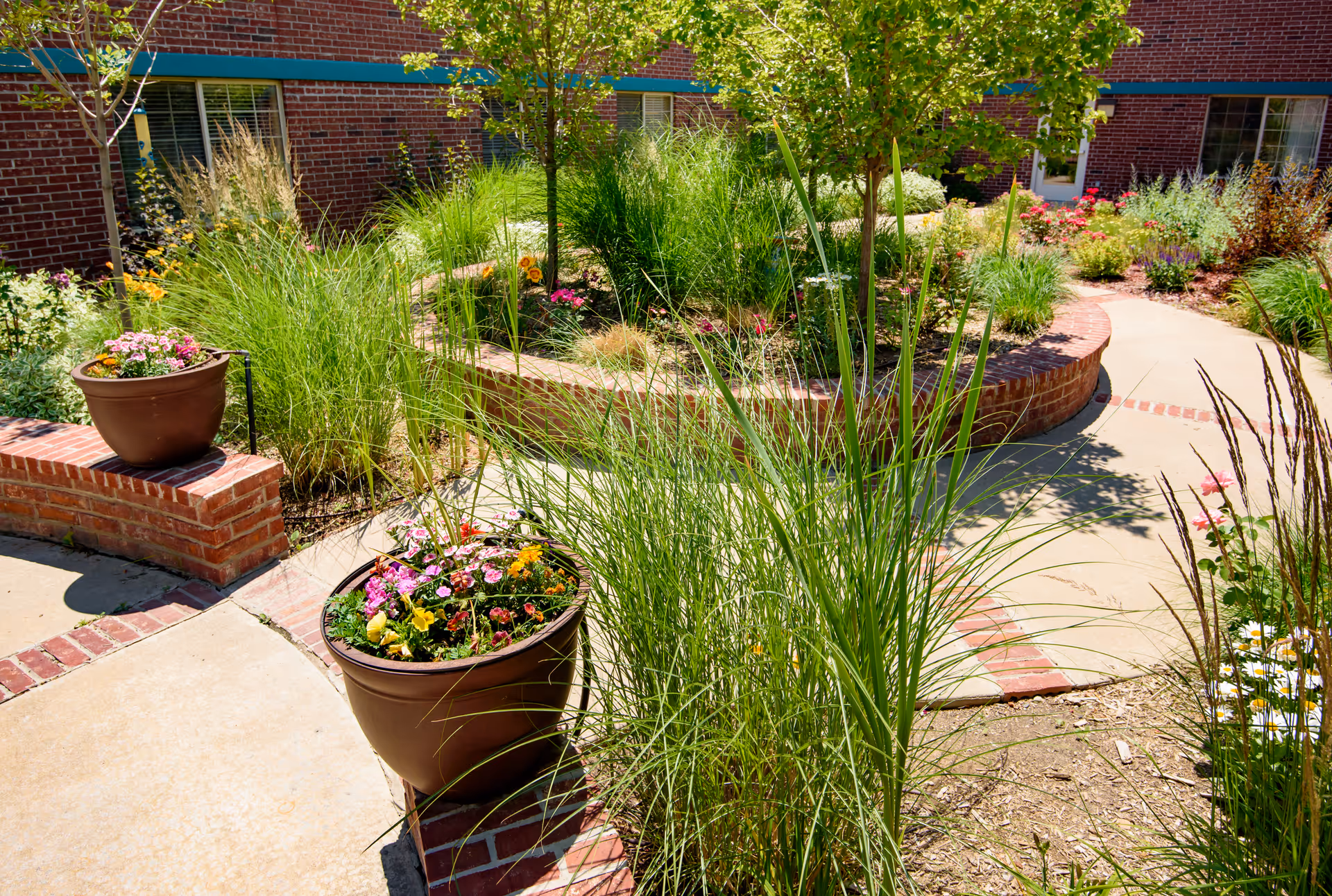 Brick courtyard garden with potted flowers, tall grasses, curved pathway and low brick planters outside a building.