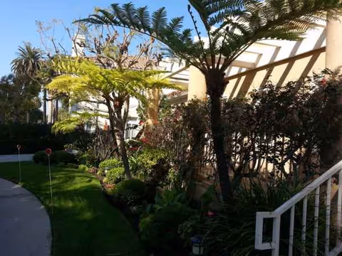 Outdoor path with palm trees and shrubs beside a light-colored building.