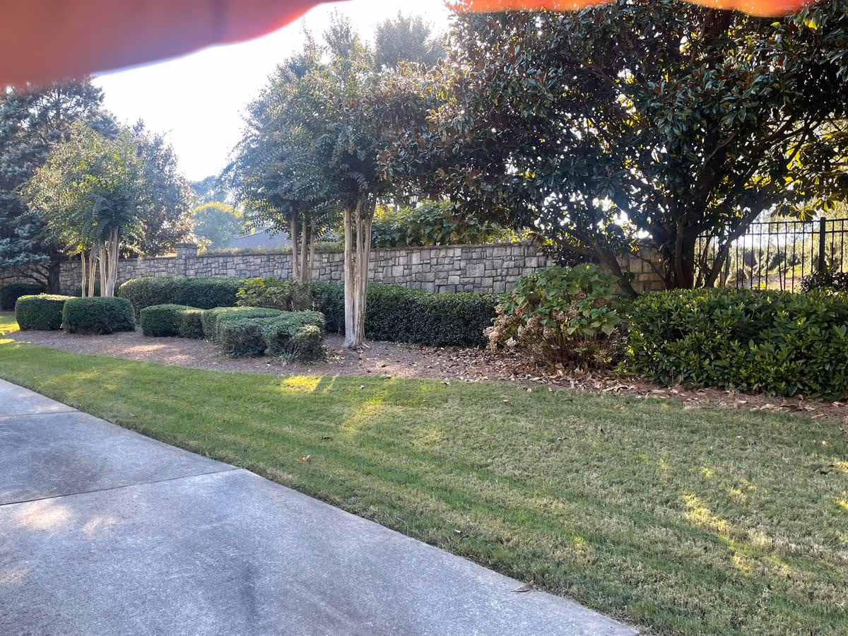 Concrete sidewalk beside a manicured lawn, trimmed shrubs and trees in front of a stone wall with sunlight filtering through.