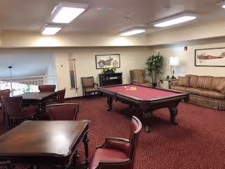 A cozy lounge area featuring a pool table in the center, surrounded by a brown sofa, armchairs, and several tables with chairs. The room has carpeted flooring, framed artwork on the walls, and a potted plant in the corner.