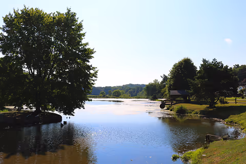 Calm pond surrounded by trees and grassy banks with a small pavilion on the right under a clear sky.