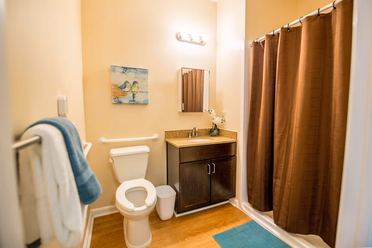 A bathroom featuring a toilet, dark wood vanity with sink and mirror, brown shower curtain, and towels on a rack.