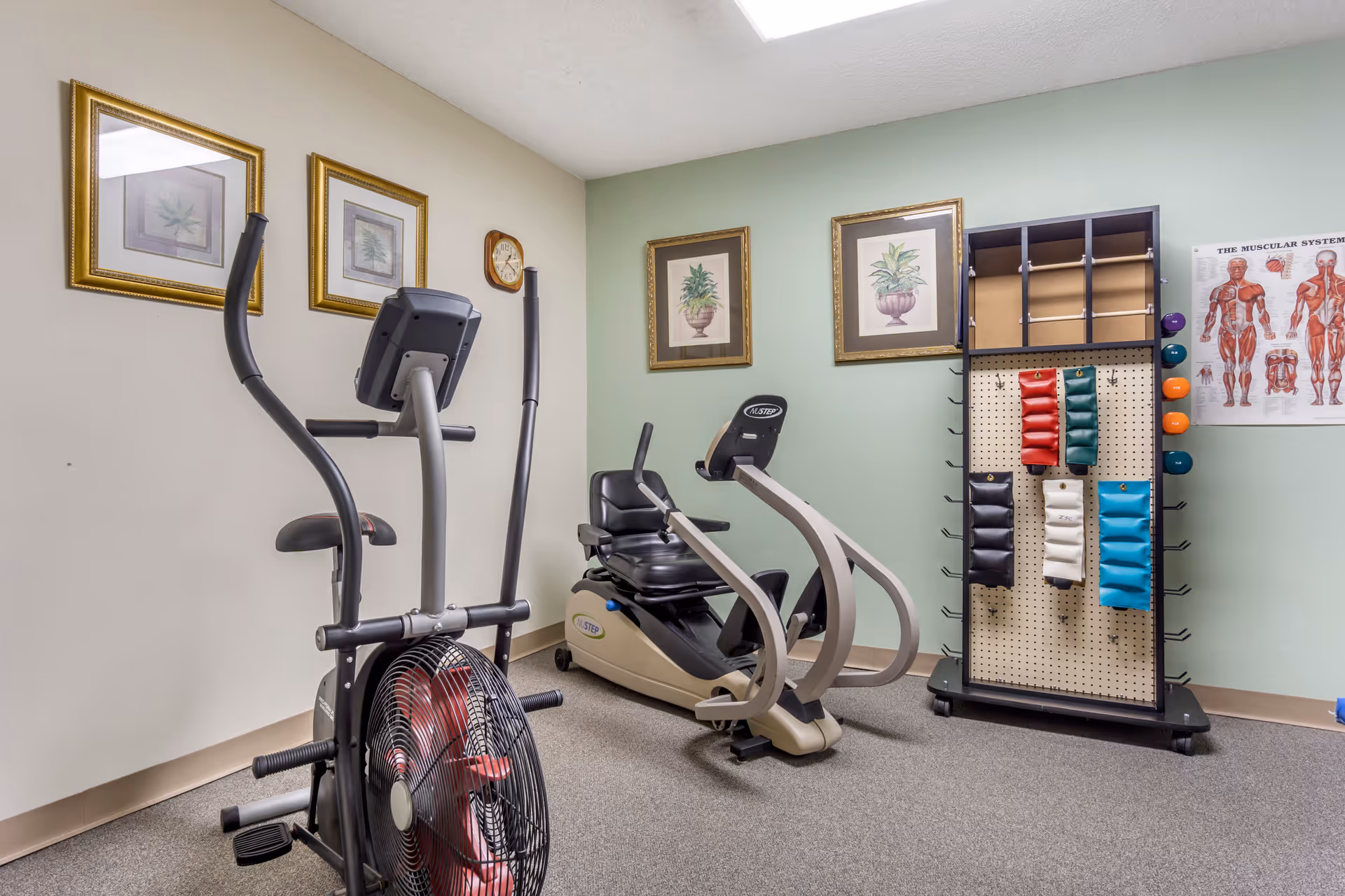 A small exercise room with two pieces of fitness equipment, including a stationary bike and an elliptical machine. The walls are decorated with framed botanical prints, a clock, and a chart of the muscular system. There is also a rack holding colorful weighted bags.