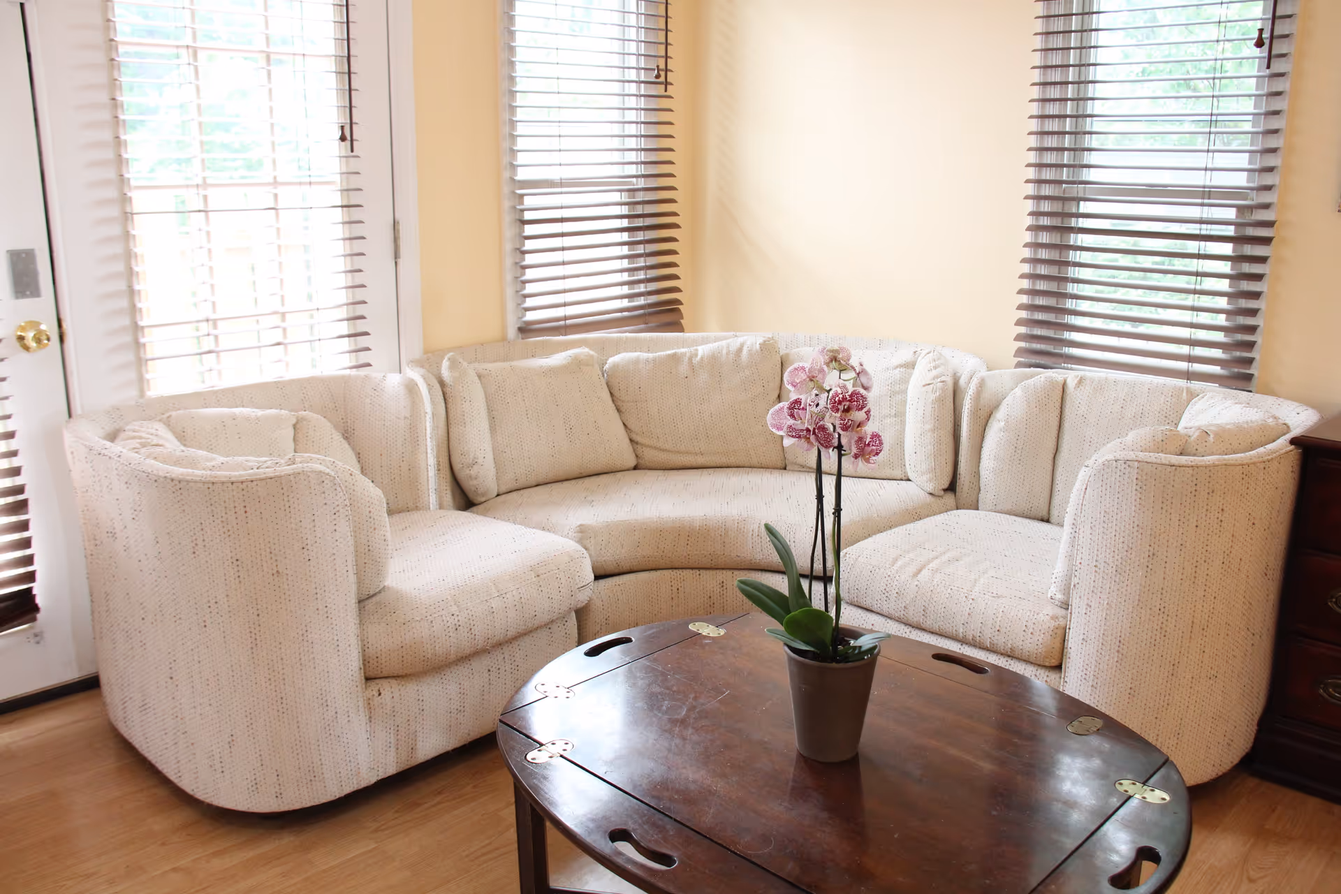 A cozy living room corner with a curved beige sectional sofa and a wooden coffee table with a potted orchid plant on it. The room has light yellow walls and windows with brown blinds.
