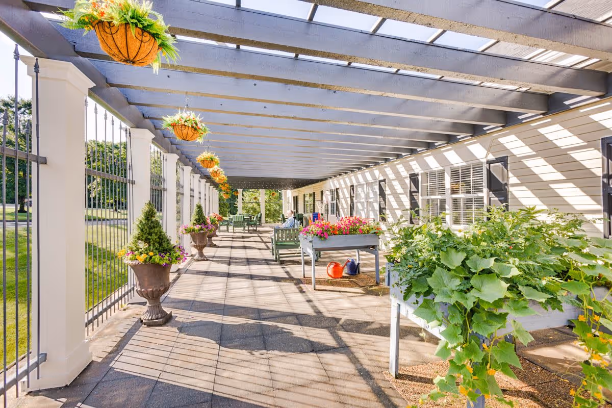 A sunny outdoor covered patio area with hanging flower baskets, potted plants, raised garden beds with green plants, and benches along the side of a building with windows and shutters.